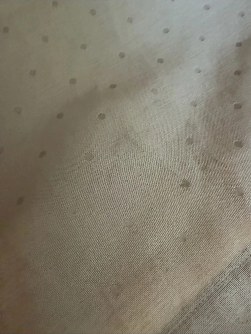 Kate Spade cotton table napkins polka dotted beige